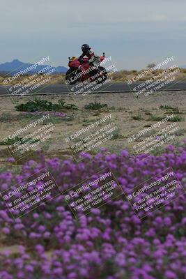 media/Jan-14-2023-SoCal Trackdays (Sat) [[497694156f]]/Turn 14 Exit Bloomig (145pm)/